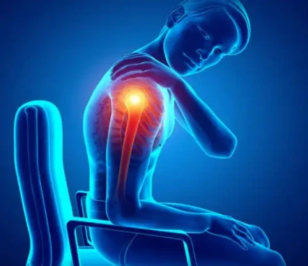 info-442-382